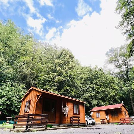 Sound Of Nature Tismana Exterior foto