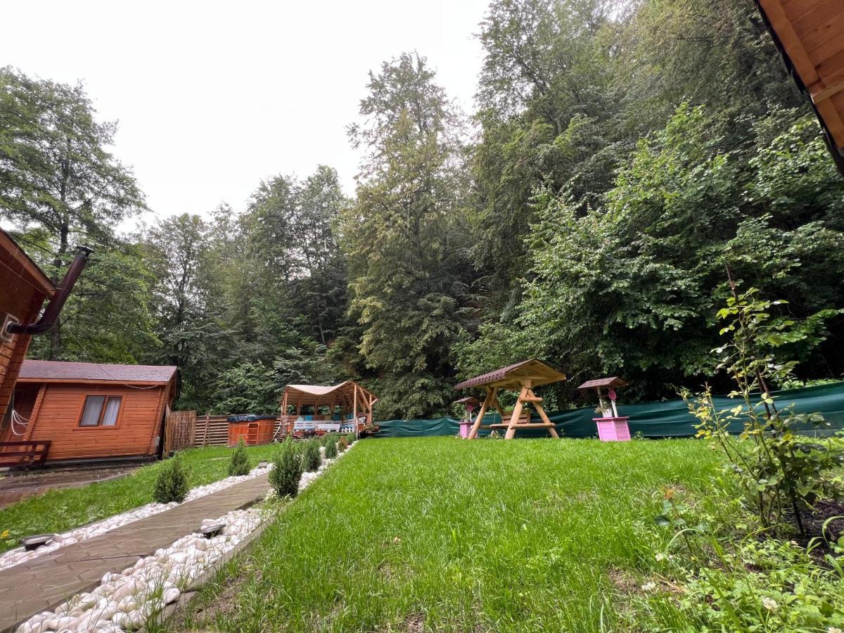 Sound Of Nature Tismana Exterior foto