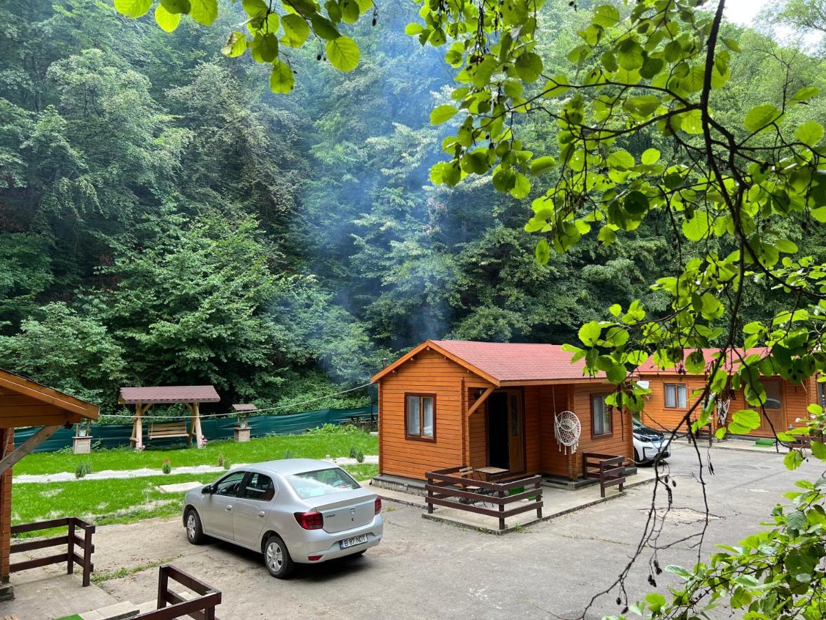 Sound Of Nature Tismana Exterior foto