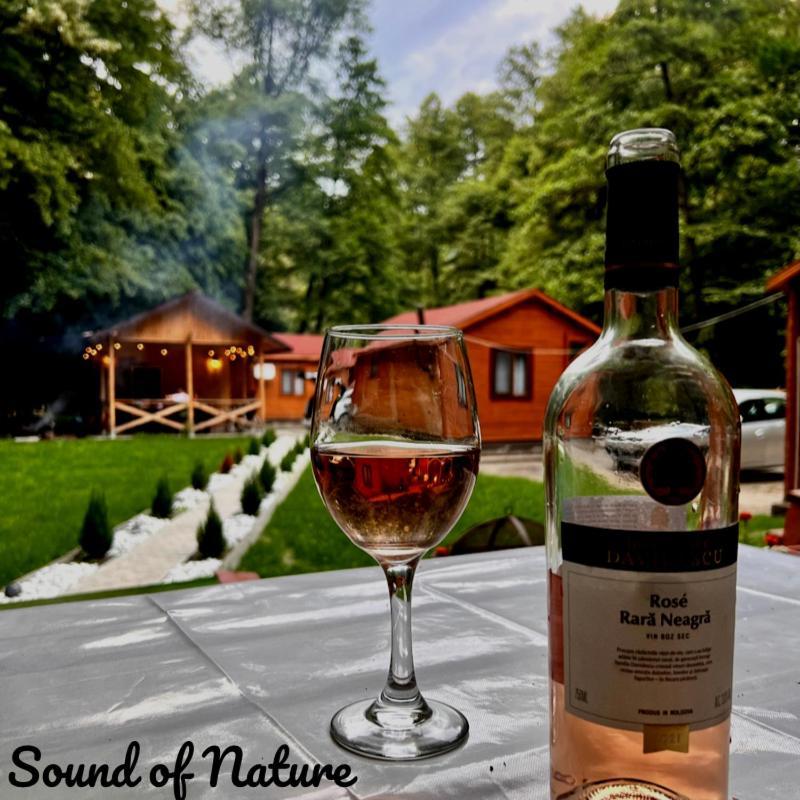 Sound Of Nature Tismana Exterior foto